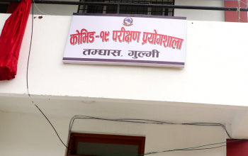 गुल्मीको कोभिड–१९ प्रयोगशालाका १० कर्मचारीले पाएनन् पारिश्रमिक